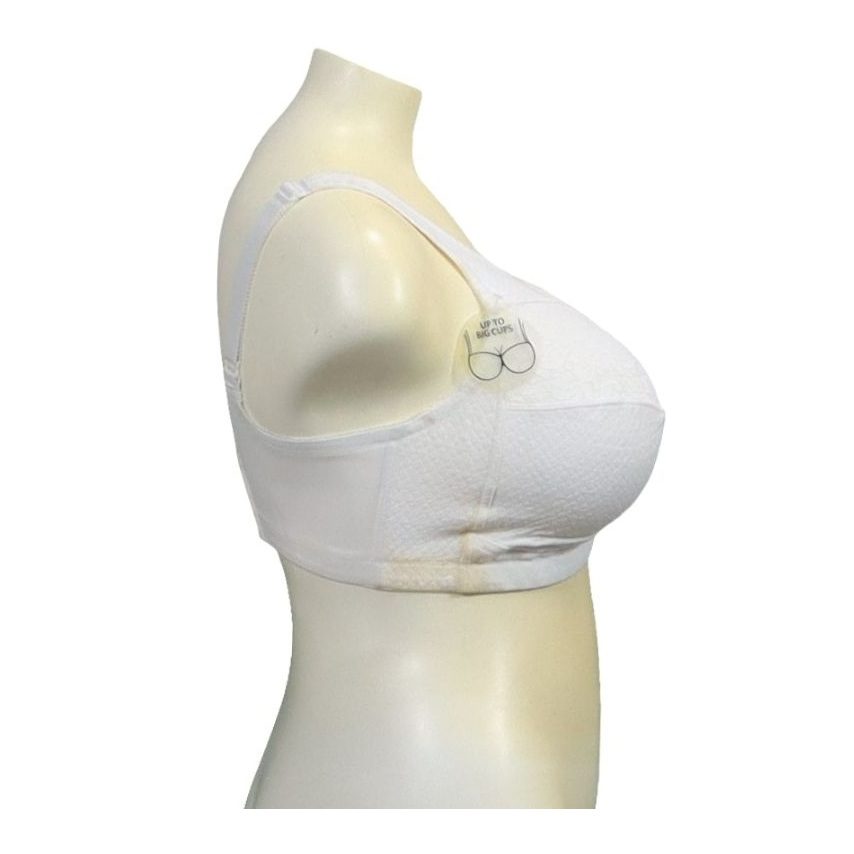 02 Triumph Classic White Bra 2