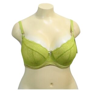 26 Elle Macpherson Summer Green Bra 1