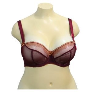 27 Curvey Kate Bardot Bra 1