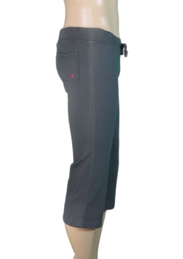 5504 Champion Smoked Shorts 2